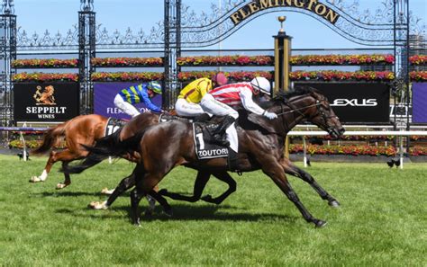 cantala stakes field
